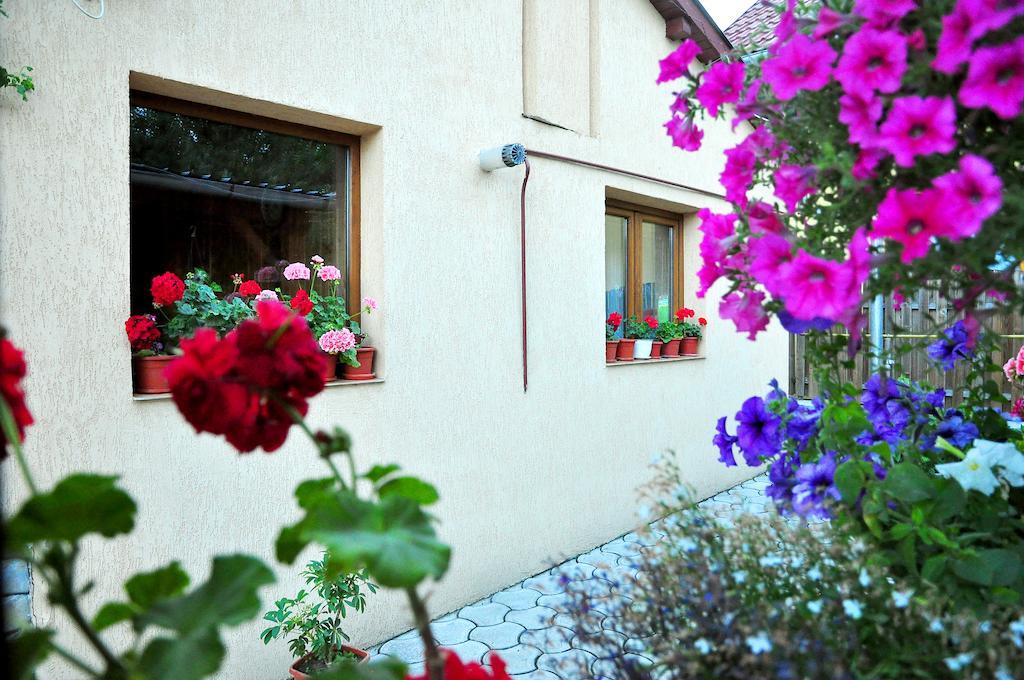 Casa Maria Hotell Gura Humorului Eksteriør bilde